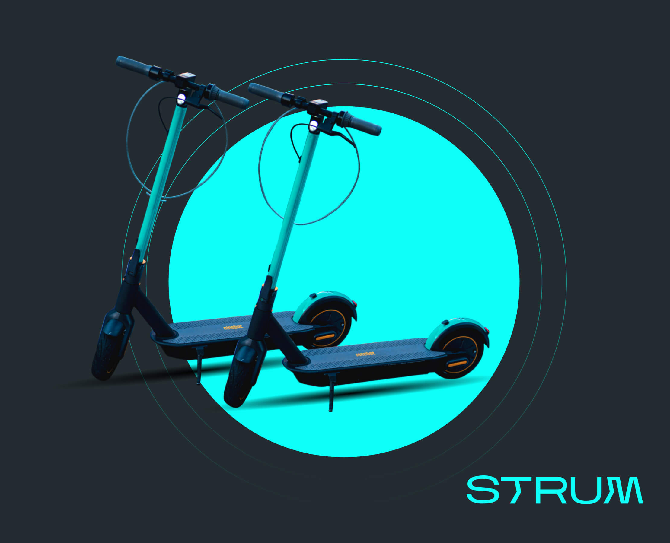 Розробка, Html / Css / Технічна підтримка